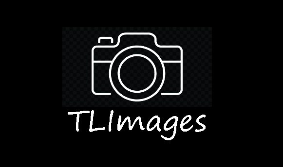 Tony's Daily Photo Blog